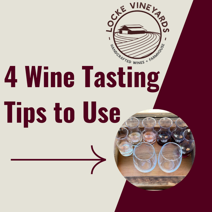 4 Wine Tasting Tips to Use