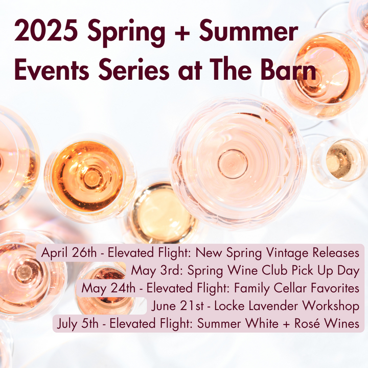 2025 Spring/Summer Events Series