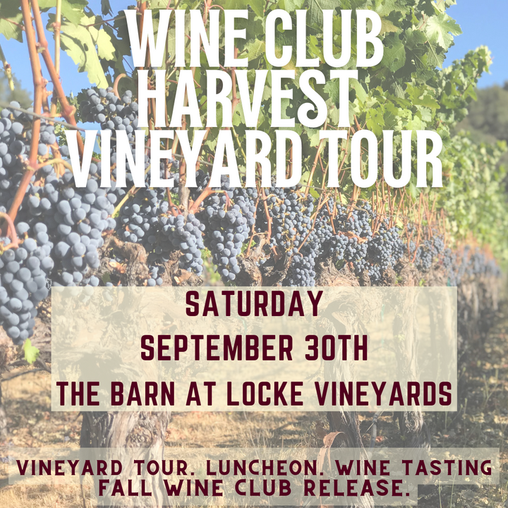 Fall Wine Club Harvest Vineyard Tour + Luncheon
