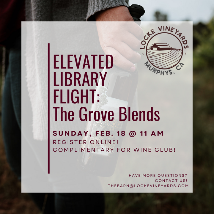 Elevated Library Flight Workshop: The Grove Blends