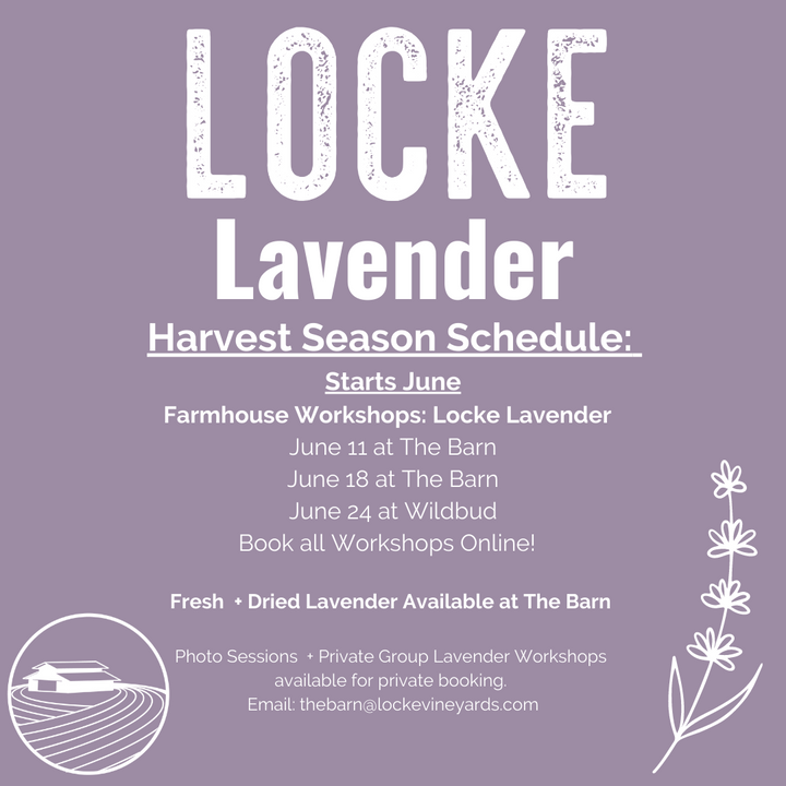 2022 Locke Lavender Seasonal Workshops
