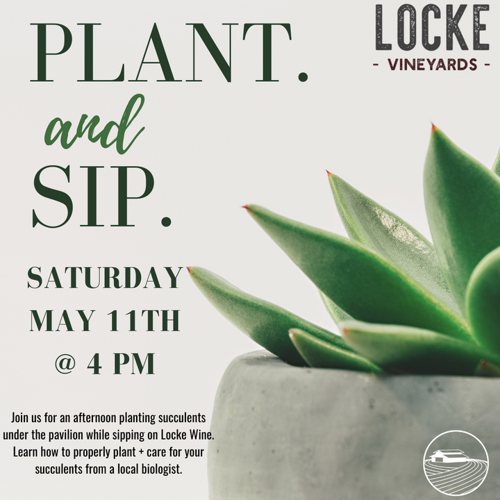 Plant + Sip Workshop (5/11/24)