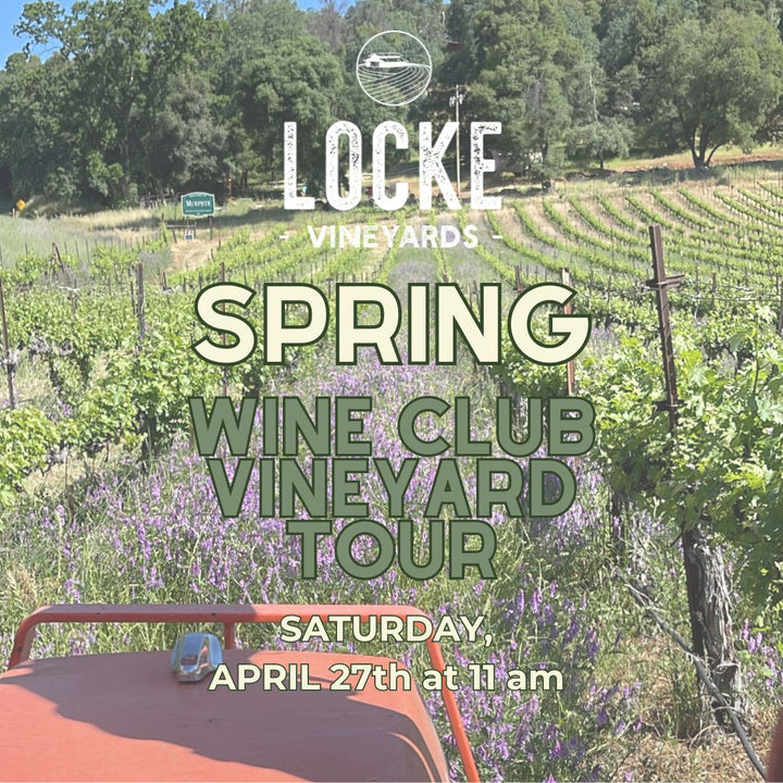 Spring Wine Club Vineyard Tour: A Celebration of a New Vintage