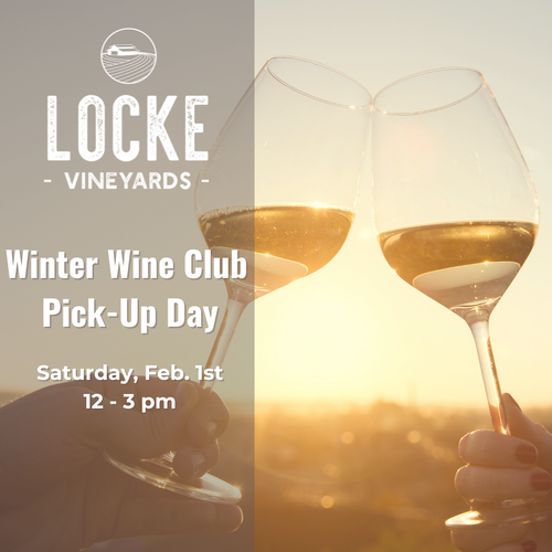 2025 Winter Wine Club (Released on 1/31/25)