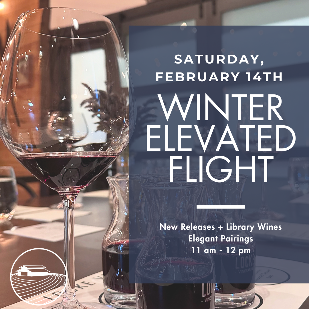 Winter Elevated Flight: Saturday (2/14/26)