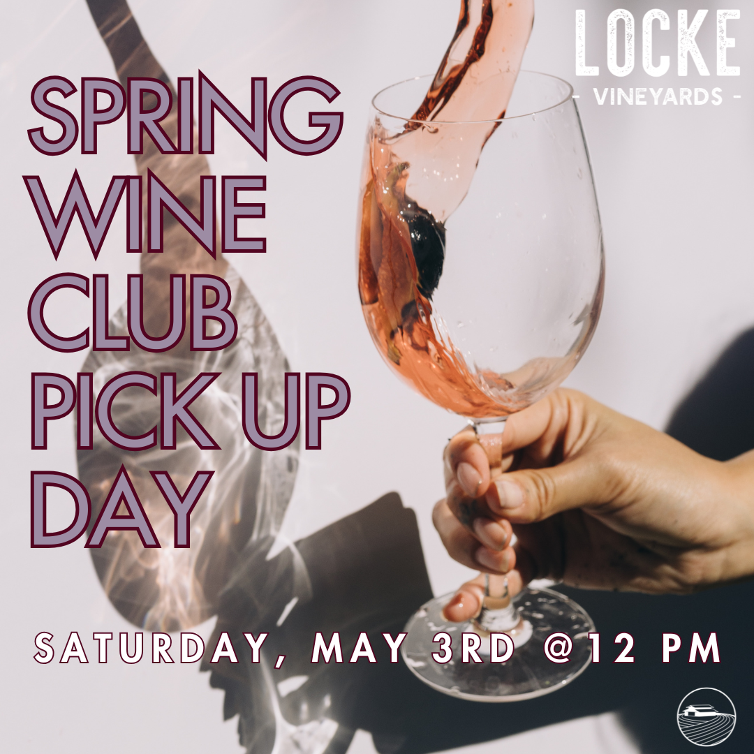 2025 Spring Wine Club Day (5/3/25)