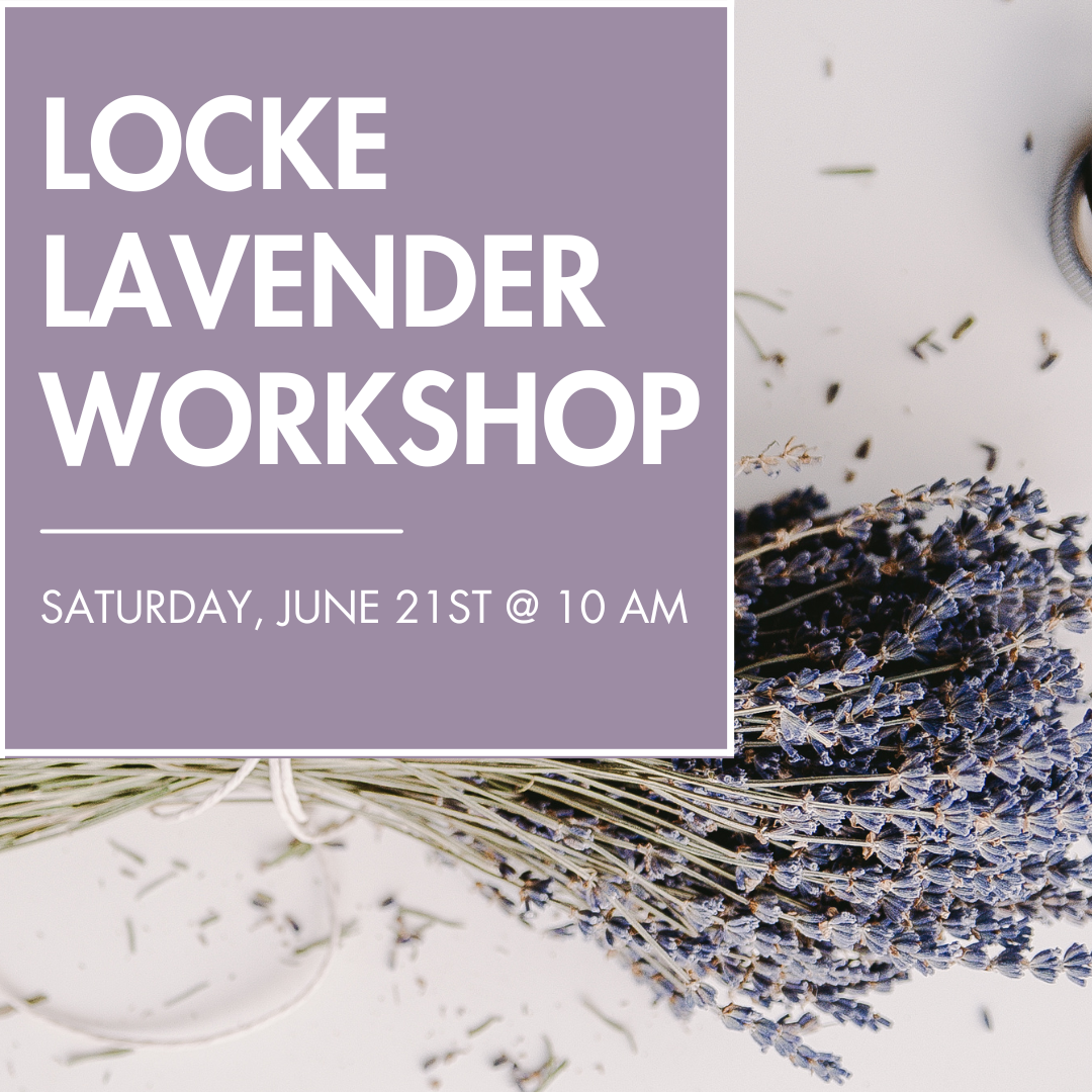 Locke Lavender Workshop (6/21/25)