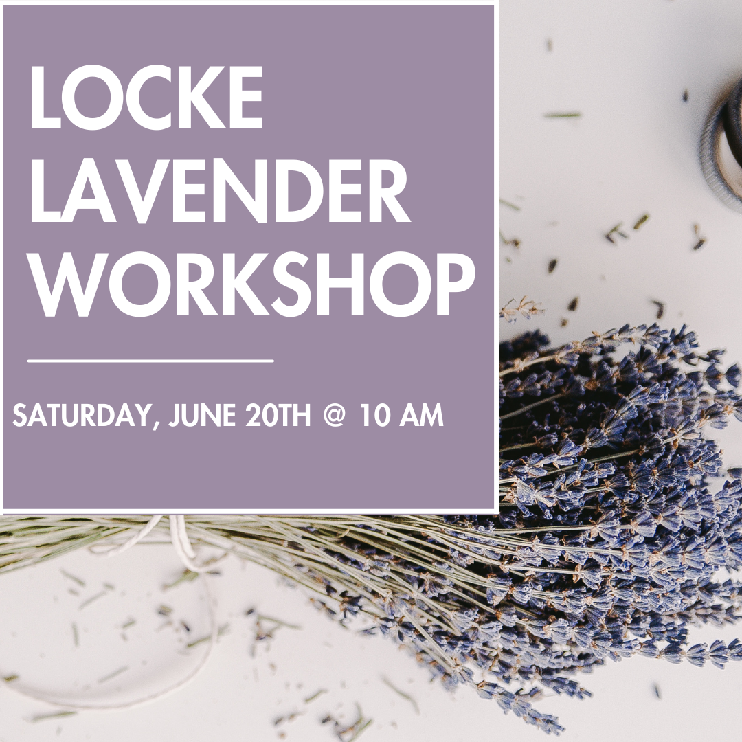 Locke Lavender Workshop (6/20/26)