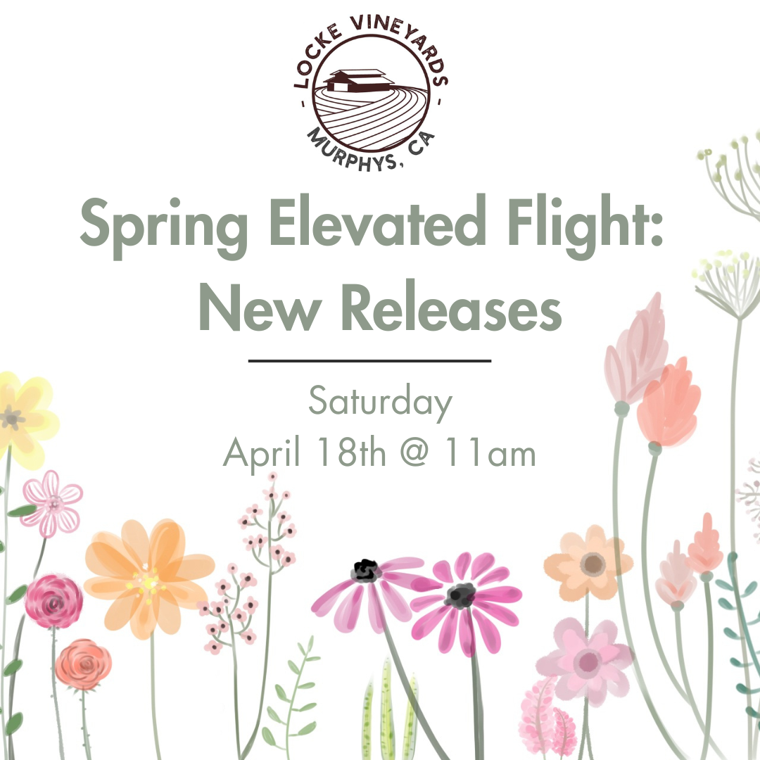Spring Elevated Flight: Saturday (4/18/26)