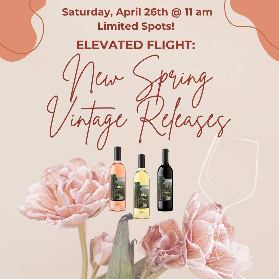 Elevated Flight: New Spring Vintage Releases (4/26/25)