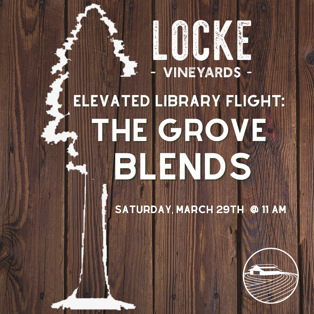 Elevated Library Flight: The Grove Blends (3/29/25)