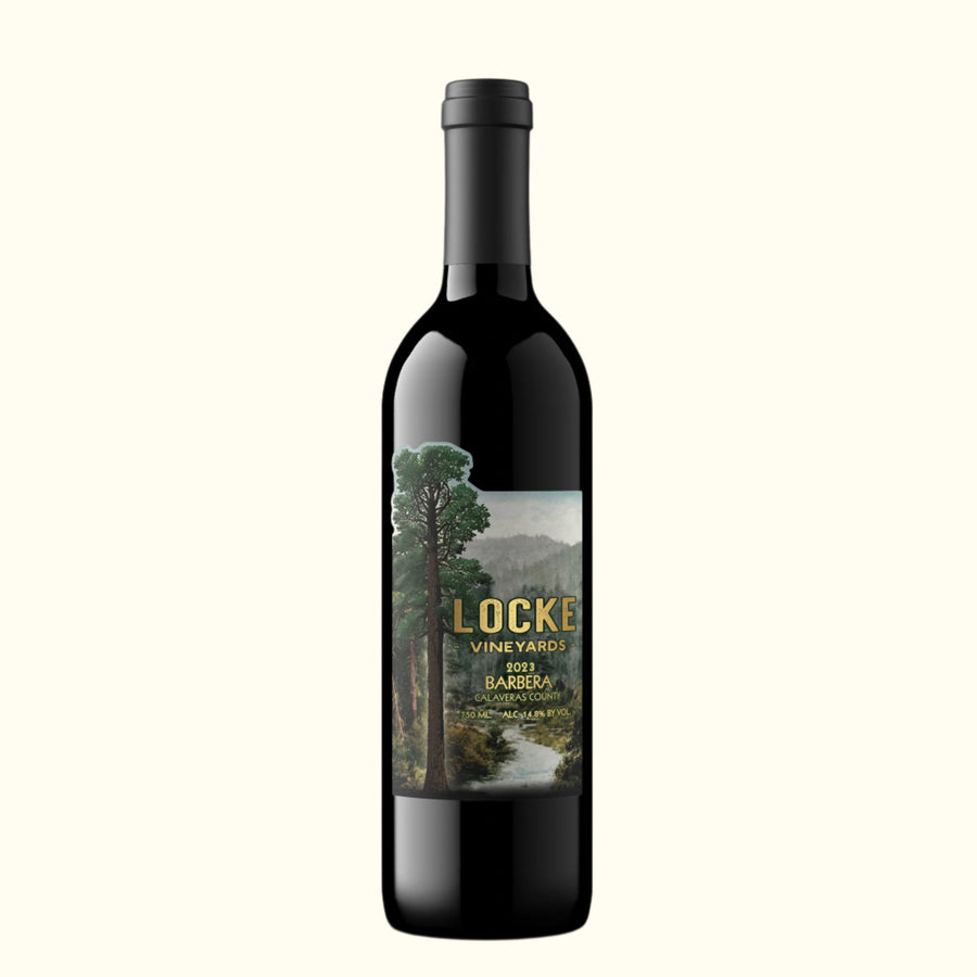 2023 Barbera