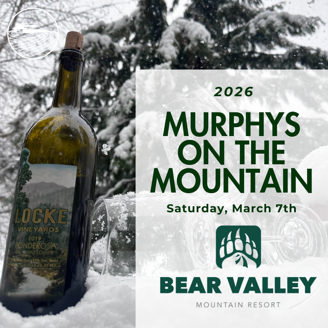 Murphys on the Mountain @ Bear Valley (3/7/26)